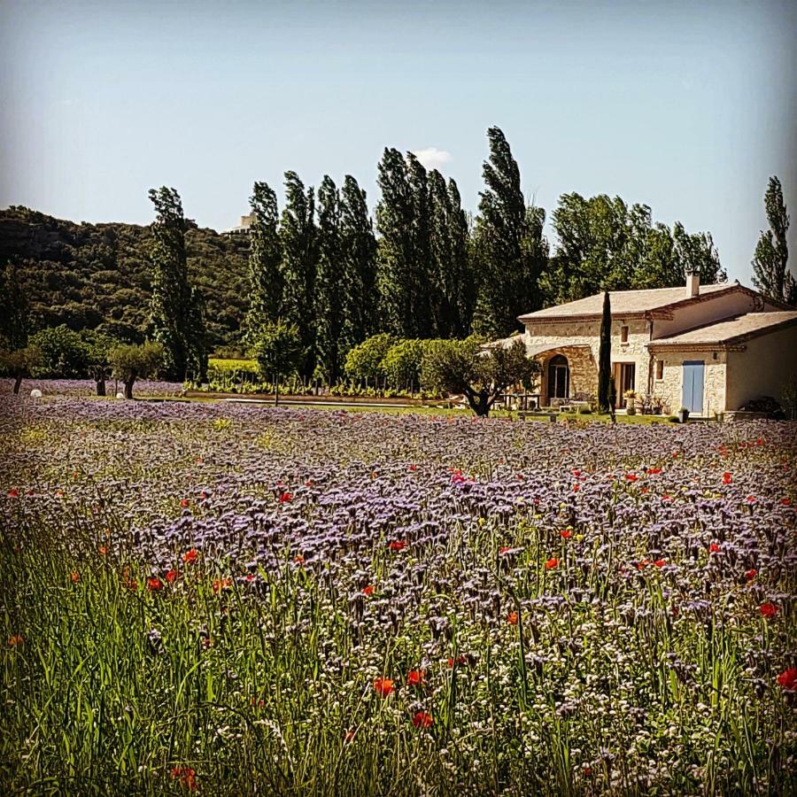 Fontaine De Cerier Bed & Breakfast Castillon-du-Gard Exterior foto